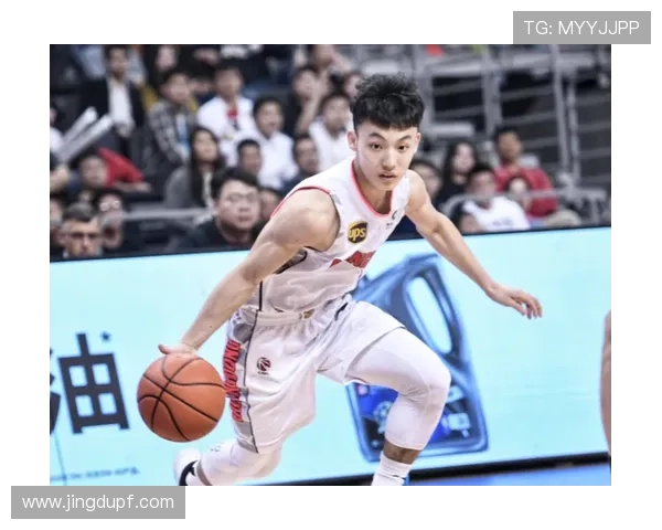 篮球公园徐杰压哨绝杀引爆全场CBA常规赛精彩瞬间回顾